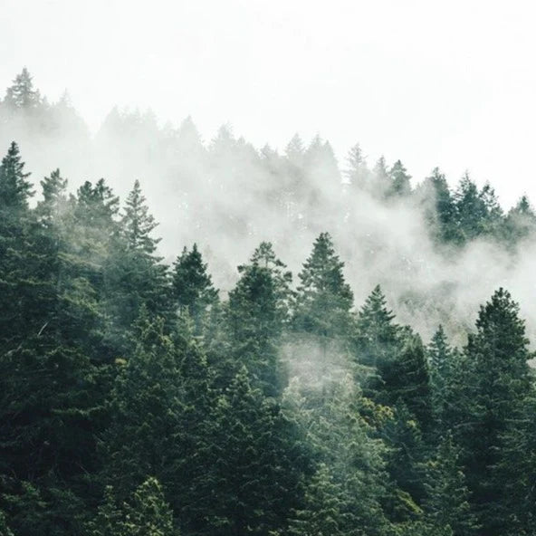 Mountain Air Candle - PJOKI