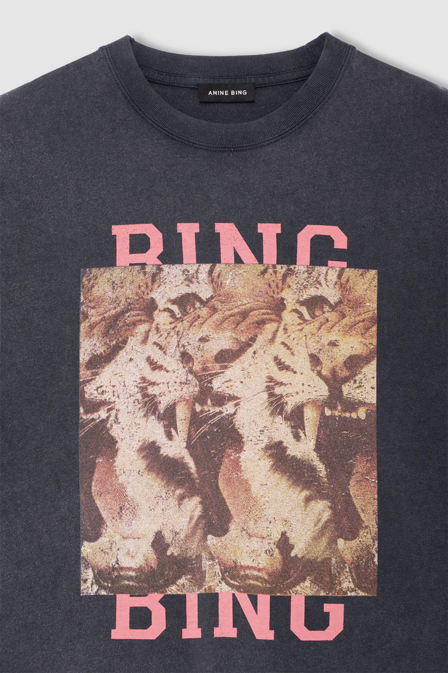 A close-up of a dark gray graphic t-shirt featuring a distressed print of two lions in the center, with the word 'BING' printed in pink above and below the graphic.