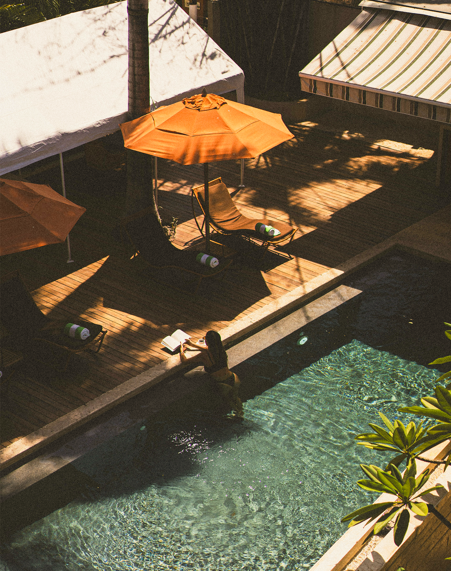 Notes on a Summer Morning